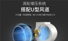 雨打黃梅頭，你心愛的白茶，存放好了么？